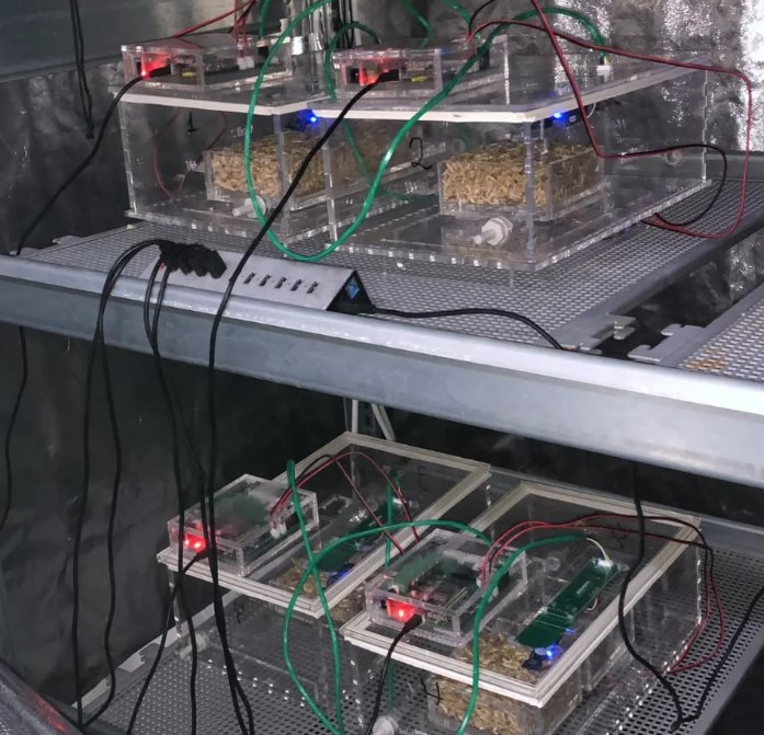 Plant Monitoring System