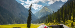 Taha Abid